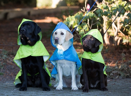 RC Pet Packable Rain Poncho Rubber Ducky