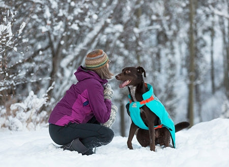 RC Pet Vortex Parka Black/Cyan