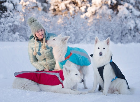 RC Pet Vortex Parka Black/Cyan