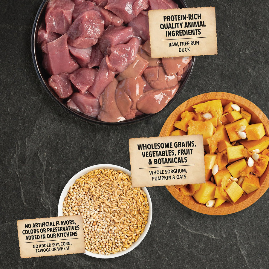 Acana Wholesome Grains Duck and Pumpkin Recipe Dry Dog Food