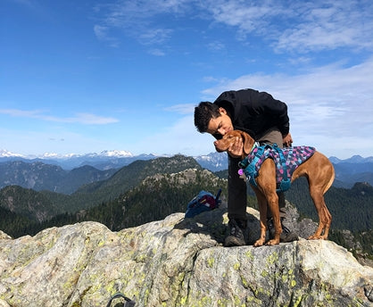 RC Pet Shasta Coat Shatter Incredible Pets