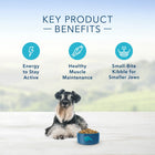 Blue Buffalo Life Protection Natural Chicken & Brown Rice Recipe Small Breed Senior Dry Dog Food