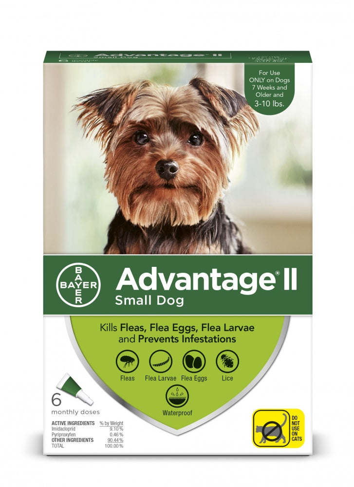 Advantage shop dog flea