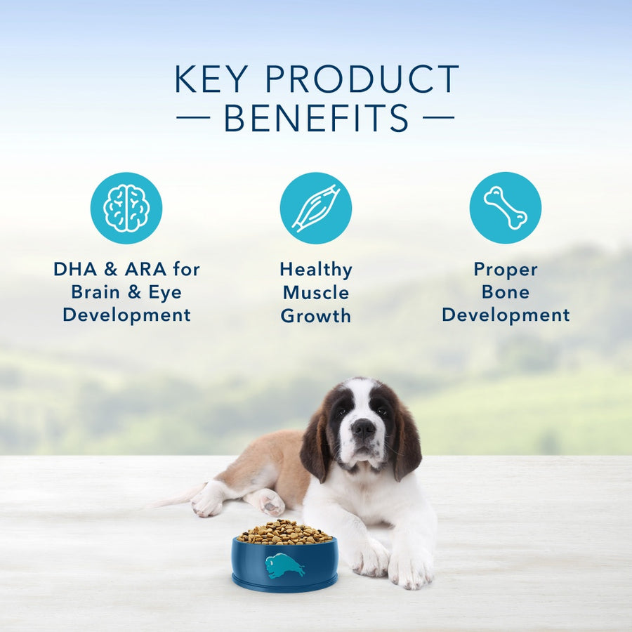 Blue Buffalo Life Protection Natural Chicken & Brown Rice Recipe Large Breed Puppy Dry Dog Food