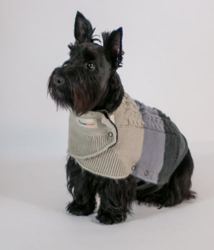 ThunderSweater For Dogs