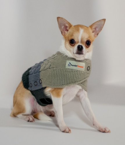 ThunderSweater For Dogs