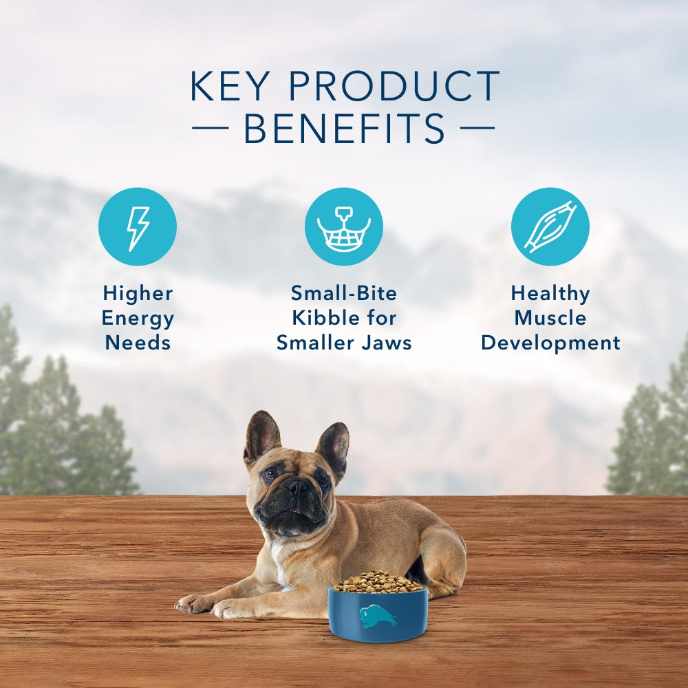 Blue Buffalo Wilderness Rocky Mountain Grain Free Natural Red Meat High Protein Recipe Dry Dog Food
