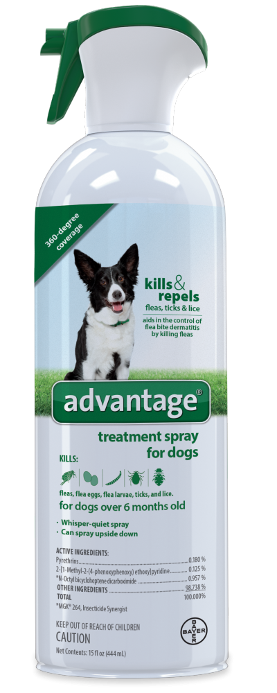 Bayer flea online and tick spray
