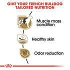 Royal Canin Breed Health Nutrition French Bulldog Adult Dry Dog Food