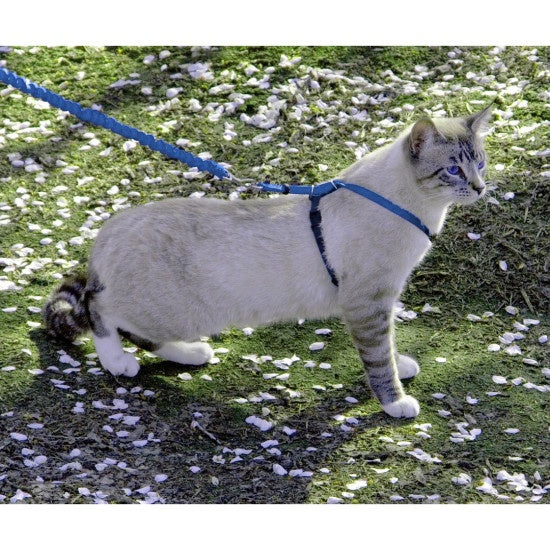 PetSafe Come with Me Kitty Royal Blue & Navy Harness and Bungee Leash for Cats