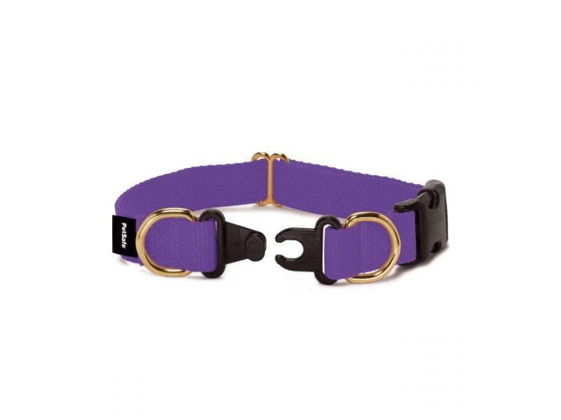 PetSafe Keep Safe Break Away Deep Purple Dog Collar