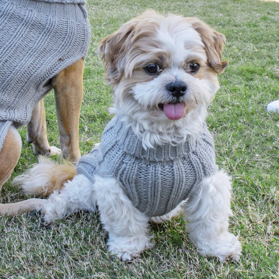 Louie Living Gray Cable Knit Sweater for Dogs