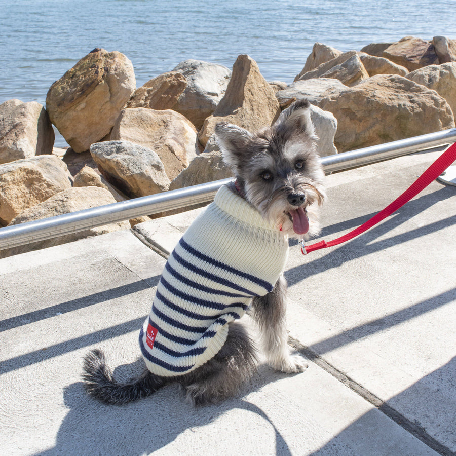 Louie Living Striped Navy & Blue Cardigan for Dogs