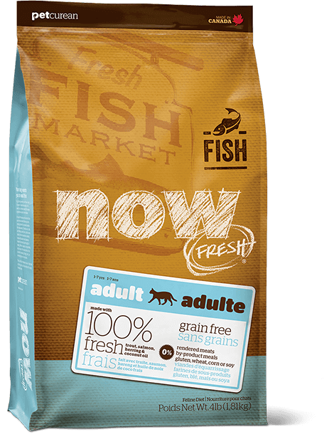 Petcurean Now! Fresh Grain Free Fish Recipe Adult Dry Cat Food