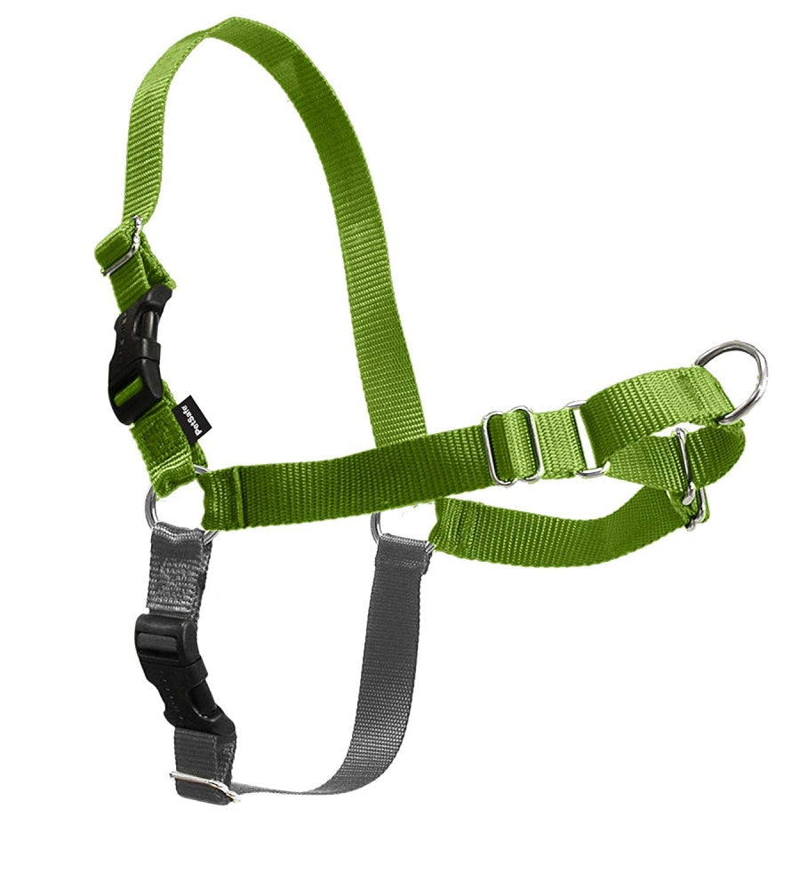 PetSafe Easy Walk Green Apple & Gray Dog Harness