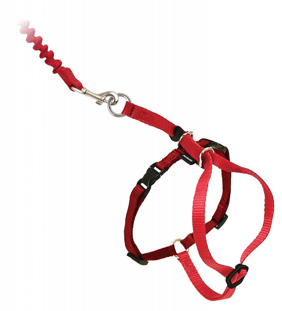 PetSafe Come with Me Kitty Red & Cranberry Harness and Bungee Leash for Cats
