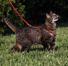 PetSafe Come with Me Kitty Red & Cranberry Harness and Bungee Leash for Cats