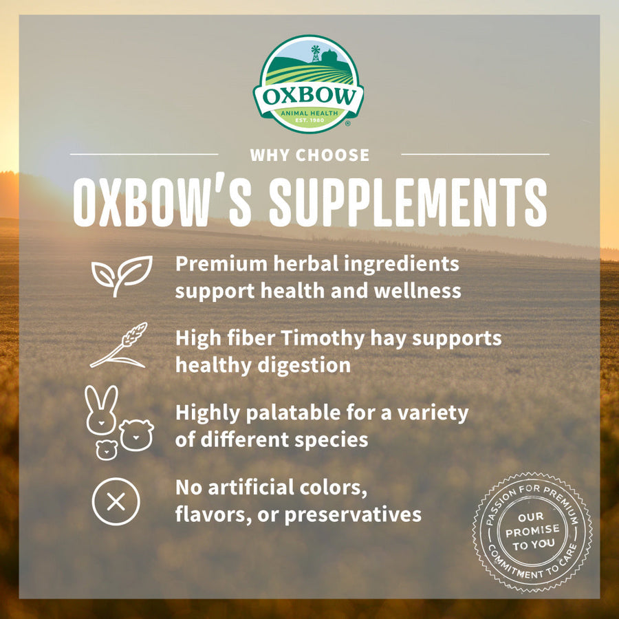 Oxbow Animal Health Natural Science Vitamin C Support