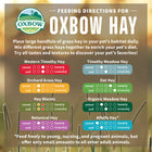 Oxbow Animal Health Oat Hay All Natural Hay for Rabbits Guinea Pigs Chinchillas Hamsters & Gerbils