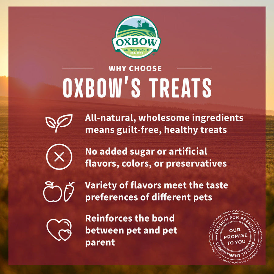 Oxbow Animal Health Simple Rewards Baked Treats with Cranberry