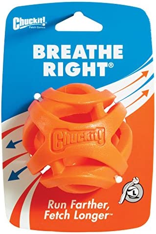 Chuckit! Air Fetch Ball Dog Toy