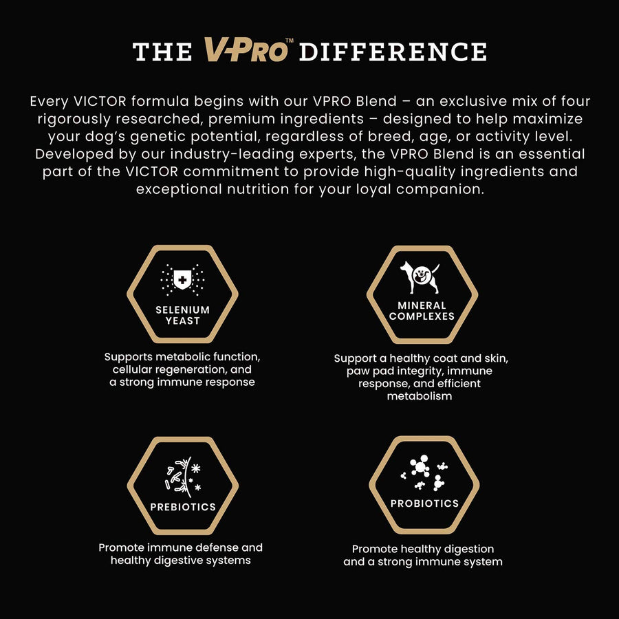 Victor Classic Hi-Pro Plus Dog & Puppy Food