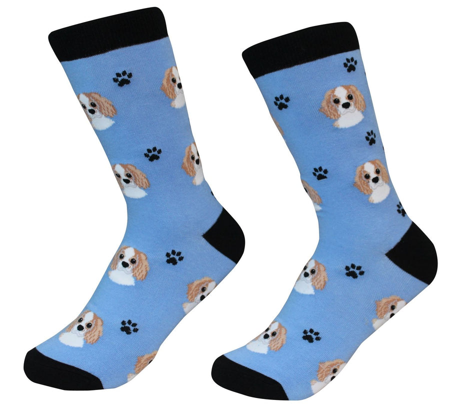 Cavalier King Charles Socks by Sock Daddy