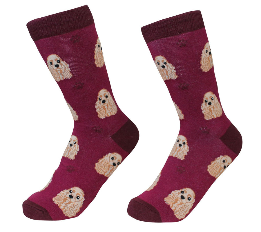 Cocker Spaniel Socks by Sock Daddy