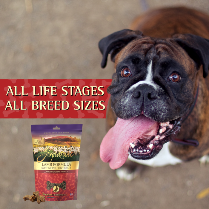 Zignature Grain Free Lamb Formula Soft Moist Dog Treats