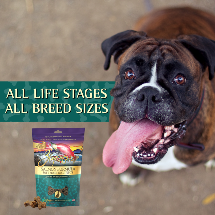 Zignature Grain Free Salmon Formula Soft Moist Dog Treats