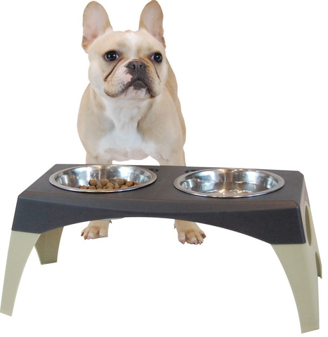 Bergan Elevated Feeder, in front of a dog filled with treats
