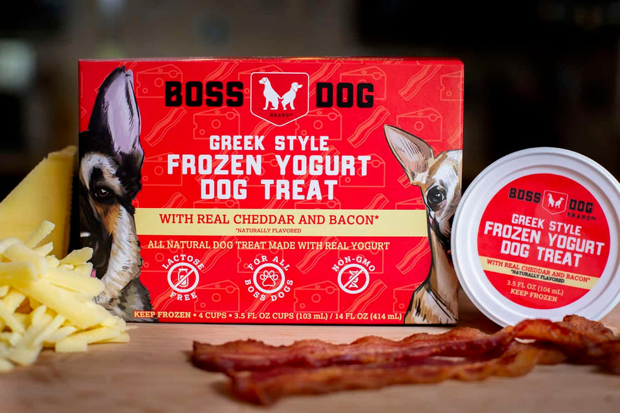 Boss Dog Greek Style Frozen Yogurt Cheese & Bacon Dog Treat 3.5floz, 4-Cup Box