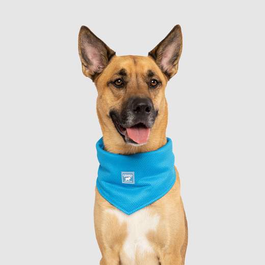 Canada Pooch Blue Cooling Bandana