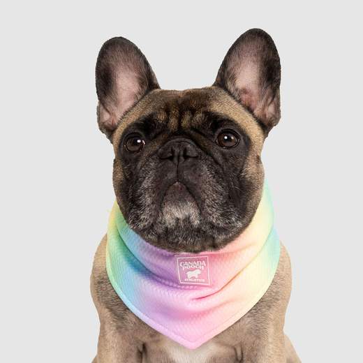 Canada Pooch Rainbow Cooling Bandana