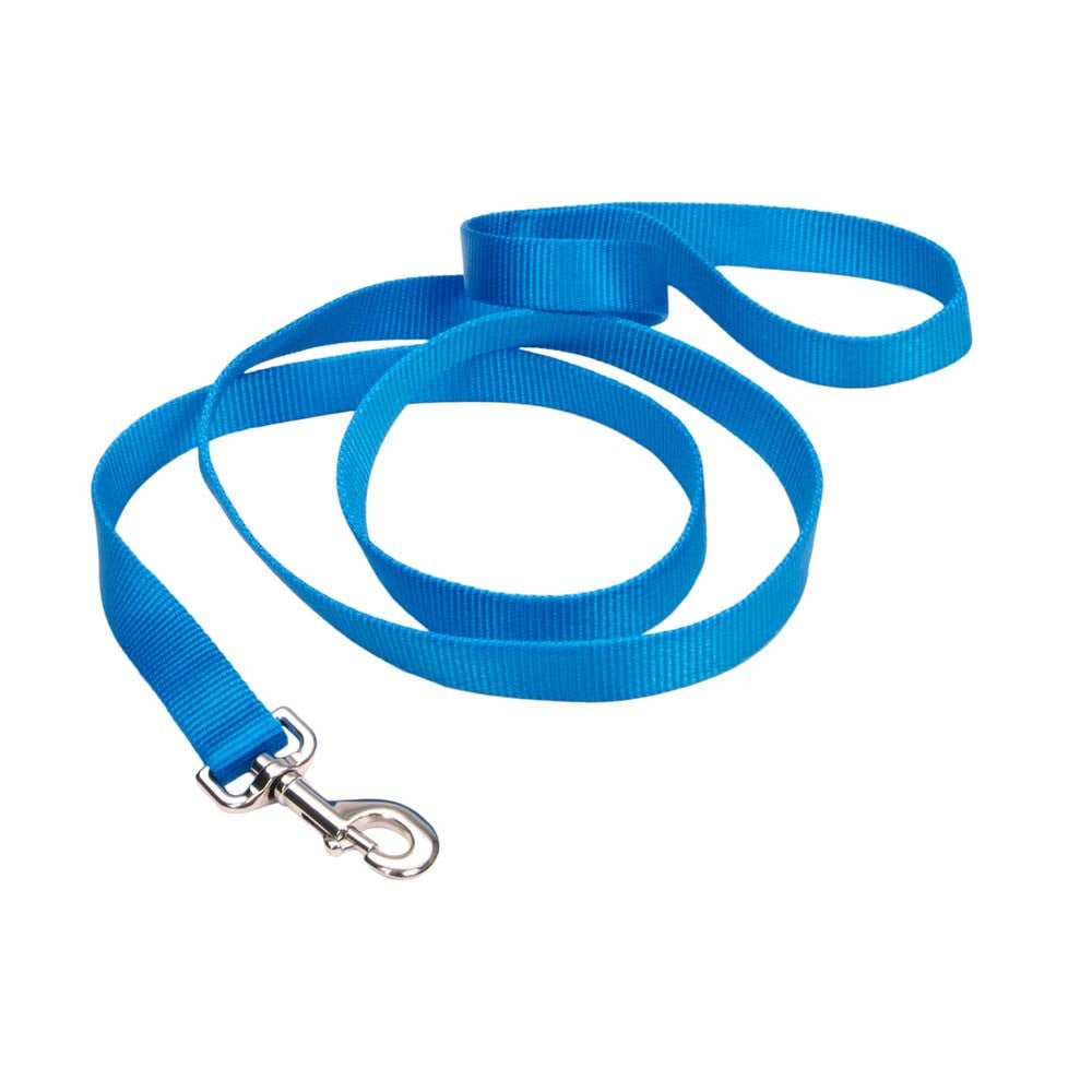 Coastal Nylon Blue Dog Leash, Full Length