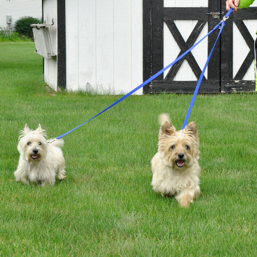 Coastal Pet Products 2 Dog Walker Tangle-Free Adjustable Leash, 2 dogs