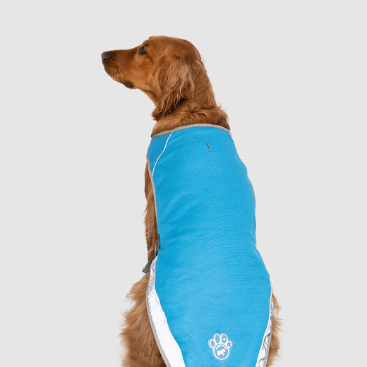 Canada Pooch Blue Chill Seeker Cooling Vest