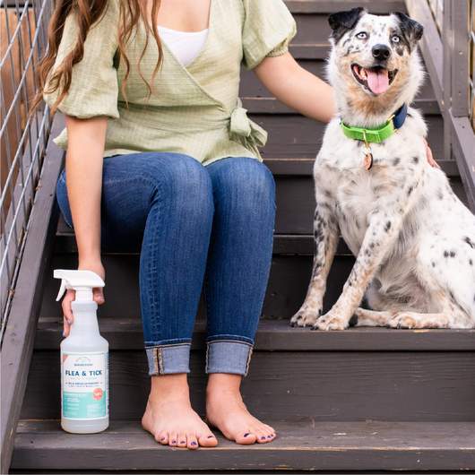 Wondercide Natural Flea & Tick Control for Pets + Home Cedarwood