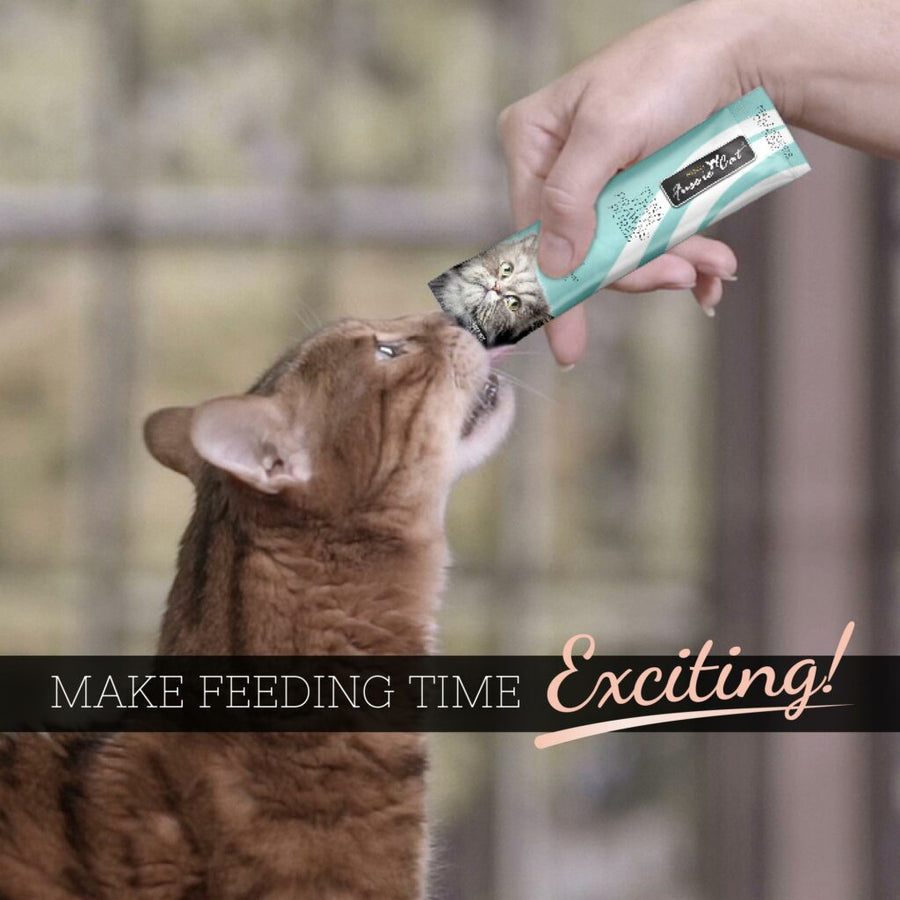 Fussie Cat Puree Tuna & Prawn Cat Treat 14g, making feeding time exciting