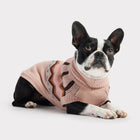 Dog Wearing GF Pet Heritage Sweater Pink for Dogs Looking Up