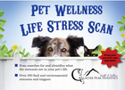 Glacier Peak Pet Wellness Life Stress Scan, identifies what the stressors are over 300 food and environmental triggers and stressors