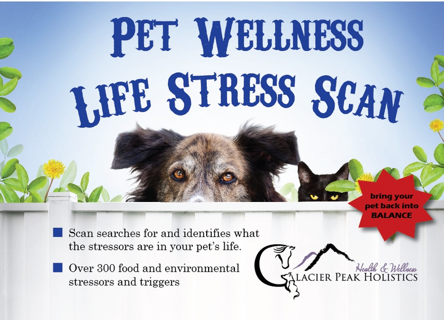 Glacier Peak Pet Wellness Life Stress Scan, identifies what the stressors are over 300 food and environmental triggers and stressors
