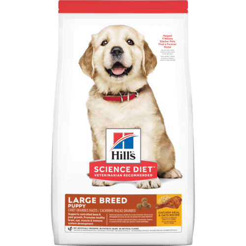 Hill's Science Diet Puppy Large Breed Chicken Meal & Oats Recipe Dry Dog Food, Front Bag