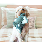 A fluffy, light brown dog sits on a bed, gently holding a KONG Comfort Kiddos Elephant plush toy in its mouth. The toy is a elephant shaped with large floppy ears and embroidered paw details.