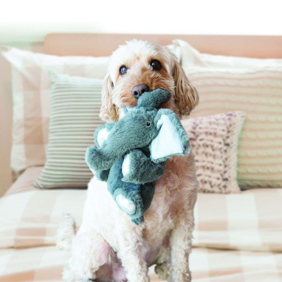 A fluffy, light brown dog sits on a bed, gently holding a KONG Comfort Kiddos Elephant plush toy in its mouth. The toy is a elephant shaped with large floppy ears and embroidered paw details.