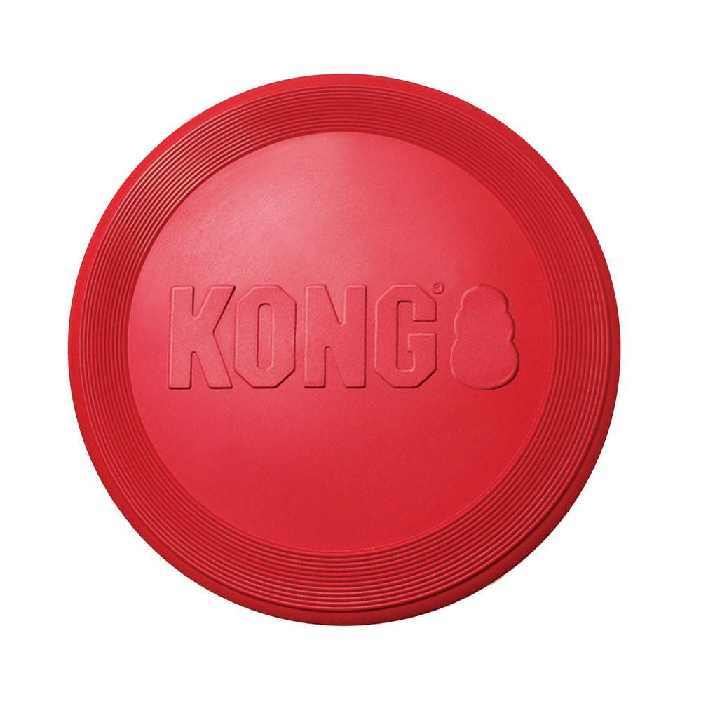 KONG Flyer Dog Toy, Close Up