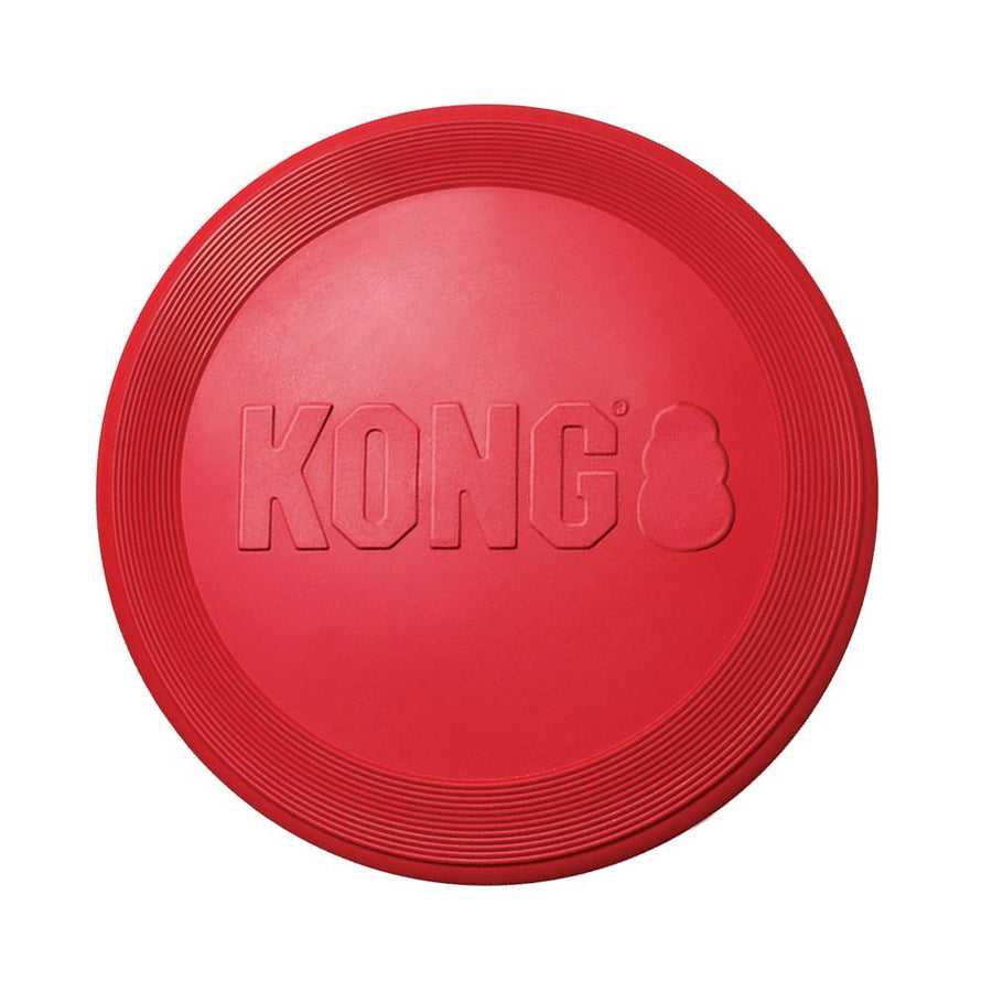 KONG Flyer Dog Toy, Close Up
