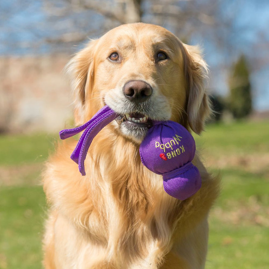 KONG Wubba Classic Dog Toy Purple, in a dogs mouth