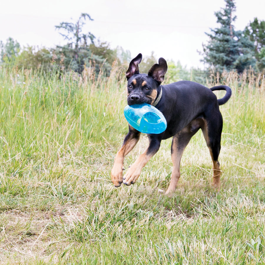 A playful black and tan dog runs through a grassy field, energetically carrying a blue KONG Jumbler Football Dog Toy in its mouth. The toy is a durable, transparent rubber ball with two built-in handles, and a smaller tennis ball inside. The dog’s ears are perked up, and its eyes are focused ahead, conveying excitement and engagement in outdoor playtime.