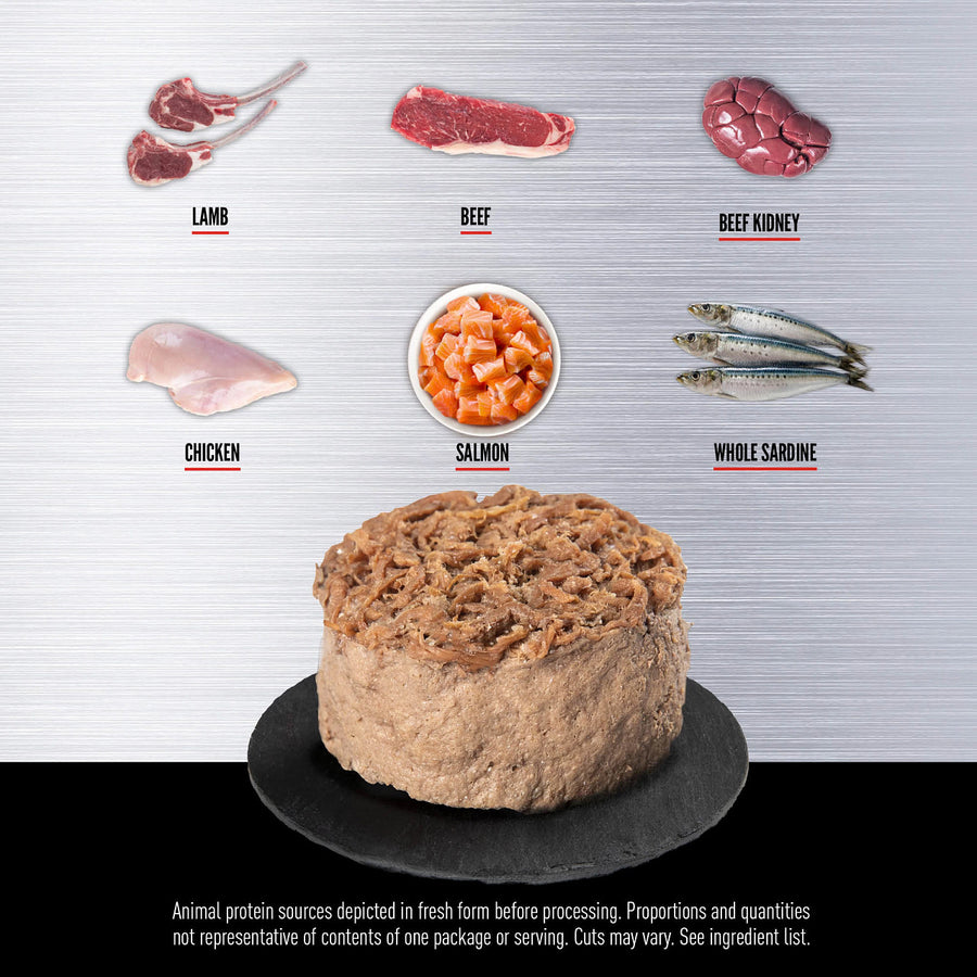 Orijen Premium Regional Red Entrée in Bone Broth Canned Cat Food